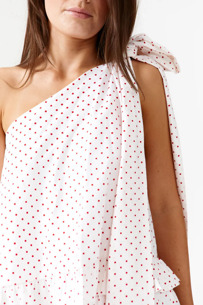 Binny - Plum Pudding Dress